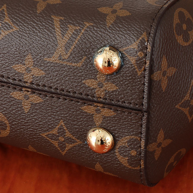 Túi LV Cluny BB Monogram quai xách sang trọng 5