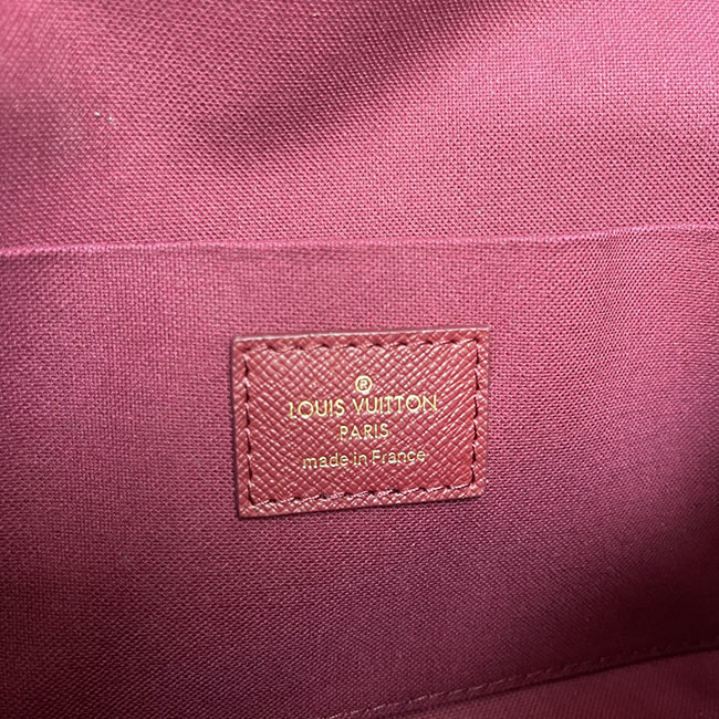 Túi LV Félicie Pochette hàng hiệu Monogram 2