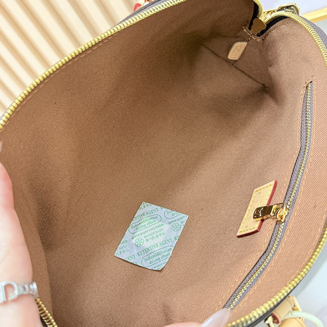 Túi LV Squire East West màu nâu 4
